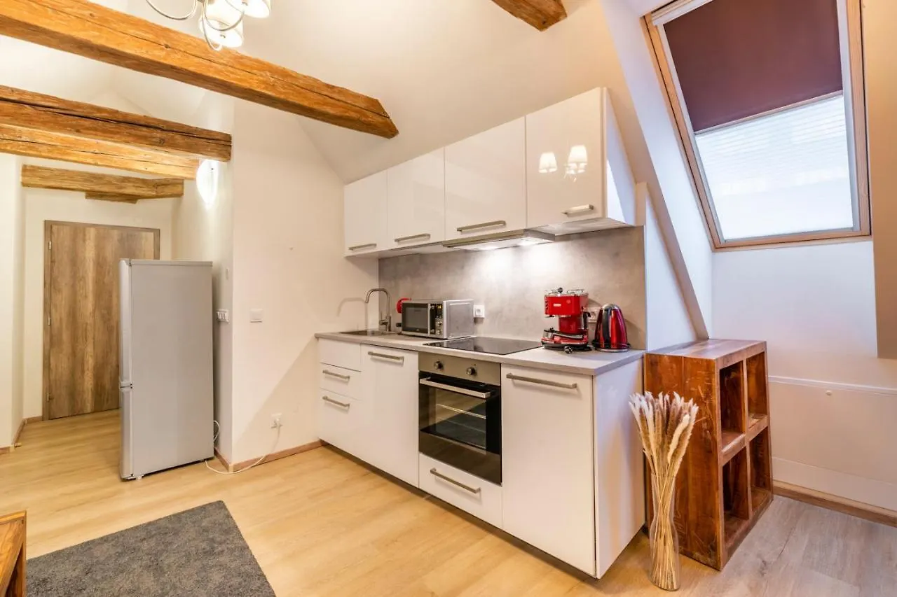 Masna 20 - Old Town Residence Prag Aparthotel